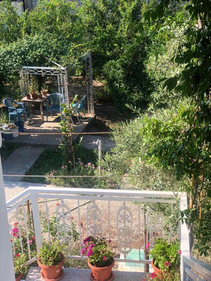 Fori Vodo Otel Divjake Dış mekan fotoğraf