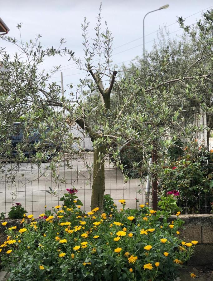Fori Vodo Otel Divjake Dış mekan fotoğraf