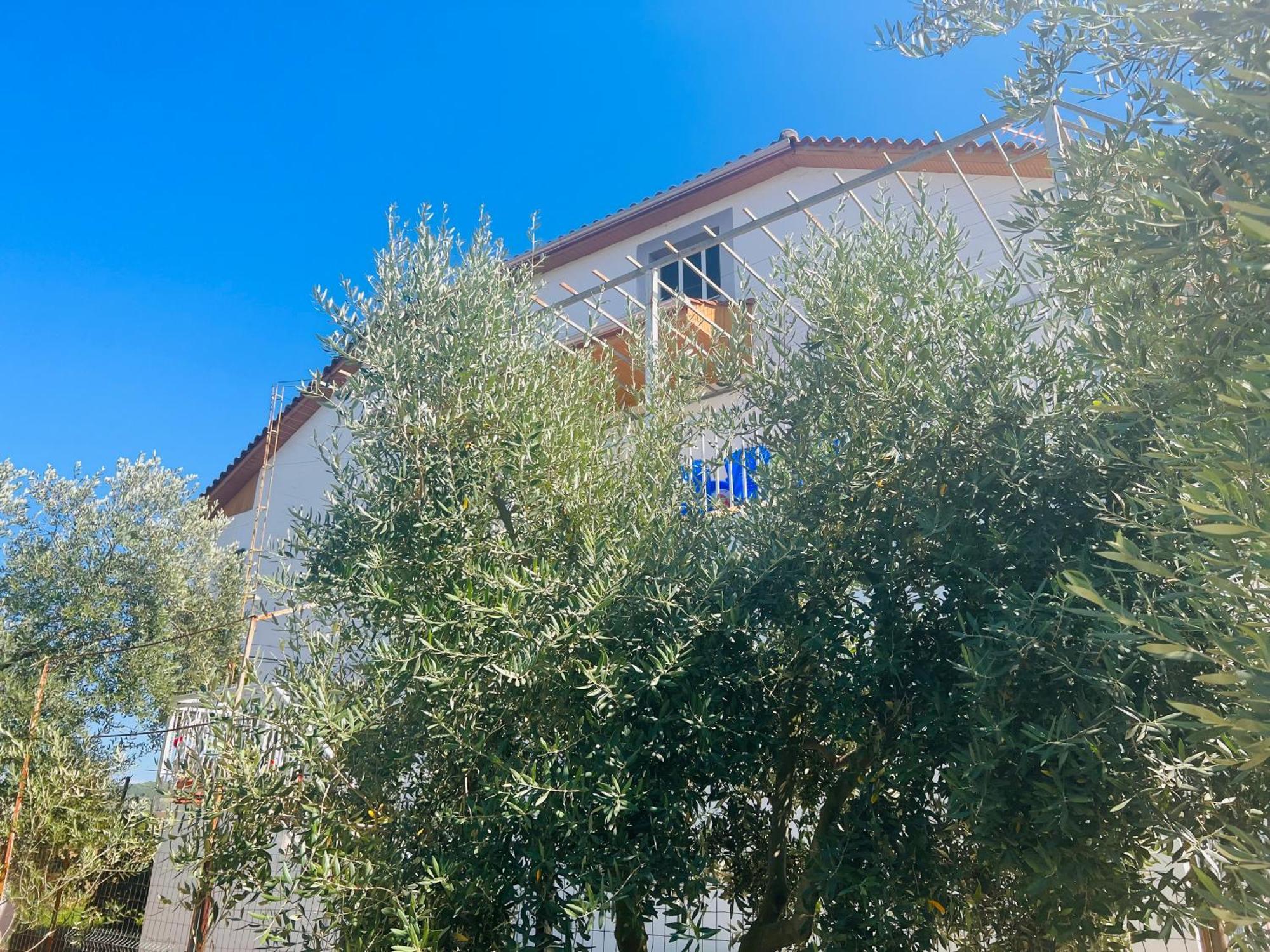 Fori Vodo Otel Divjake Dış mekan fotoğraf