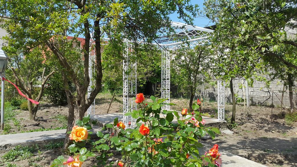 Fori Vodo Otel Divjake Dış mekan fotoğraf